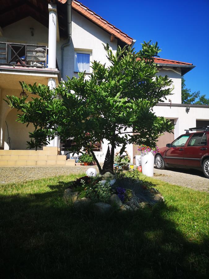 Casa Del Fasa Polanica-Zdroj Exterior photo